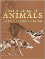 Art Anatomy of Animals