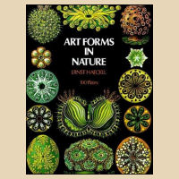 Art Forms in Nature