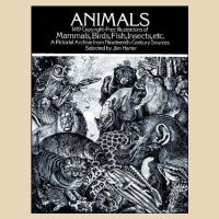 Animals: Mammals, Birds, Fish & Insects