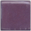 CG52 Pansy Purple
