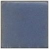 CG6 Blue Shino