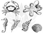 Sea Life 3-XL Designs