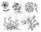 Flowers 3-XL Designs