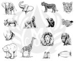 Zoo Animal Designs
