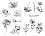 Flower Designs